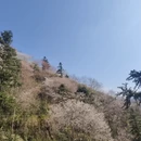 金华旅游 缩略图 6
