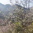 金华旅游 缩略图 14