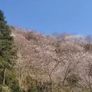 金华旅游 缩略图 11