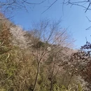 金华旅游 缩略图 17