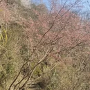 金华旅游 缩略图 18