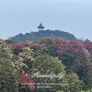毕节旅游 缩略图 4