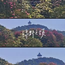 毕节旅游 缩略图 2