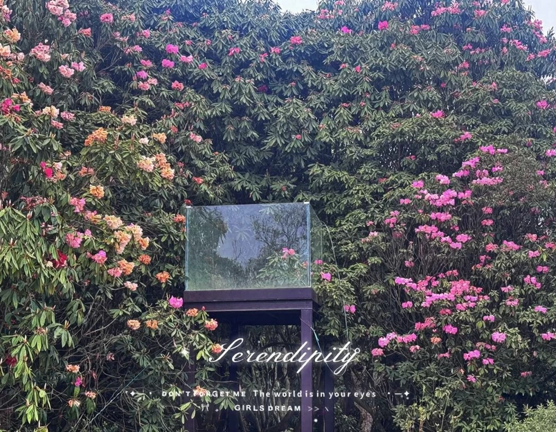 毕节旅游 1