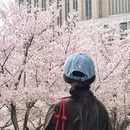 武汉旅游 缩略图 4