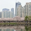 武汉旅游 缩略图 7