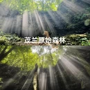 安顺旅游 缩略图 8