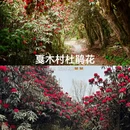 安顺旅游 缩略图 12