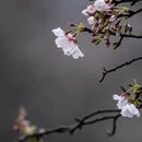宣城旅游 缩略图 3