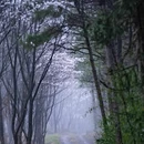 宣城旅游 缩略图 1