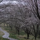 宣城旅游 缩略图 2