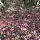 贵阳旅游 缩略图 9