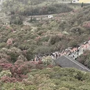 贵阳旅游 缩略图 8