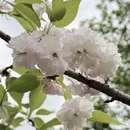 贵阳旅游 缩略图 7