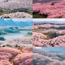 贵阳旅游 缩略图 6