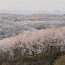 贵阳旅游 缩略图 8