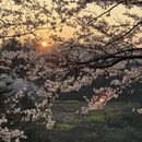 贵阳旅游 缩略图 10