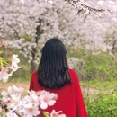 贵阳旅游 缩略图 5
