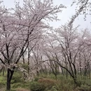 贵阳旅游 缩略图 5
