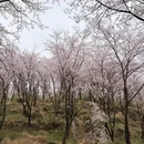 贵阳旅游 缩略图 4