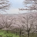 贵阳旅游 缩略图 6