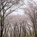 贵阳旅游 缩略图 3
