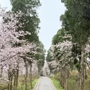 贵阳旅游 缩略图 9