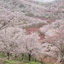 贵阳旅游 缩略图 13