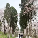 贵阳旅游 缩略图 10