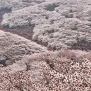 贵阳旅游 缩略图 14
