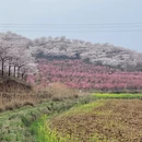 贵阳旅游 缩略图 17