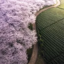 安顺旅游 缩略图 4