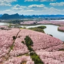 安顺旅游 缩略图 3