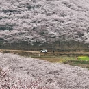 贵阳旅游 缩略图 15