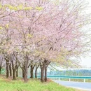 安顺旅游 缩略图 6