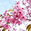 安顺旅游 缩略图 3