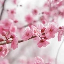 安顺旅游 缩略图 2