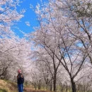 贵阳旅游 缩略图 1
