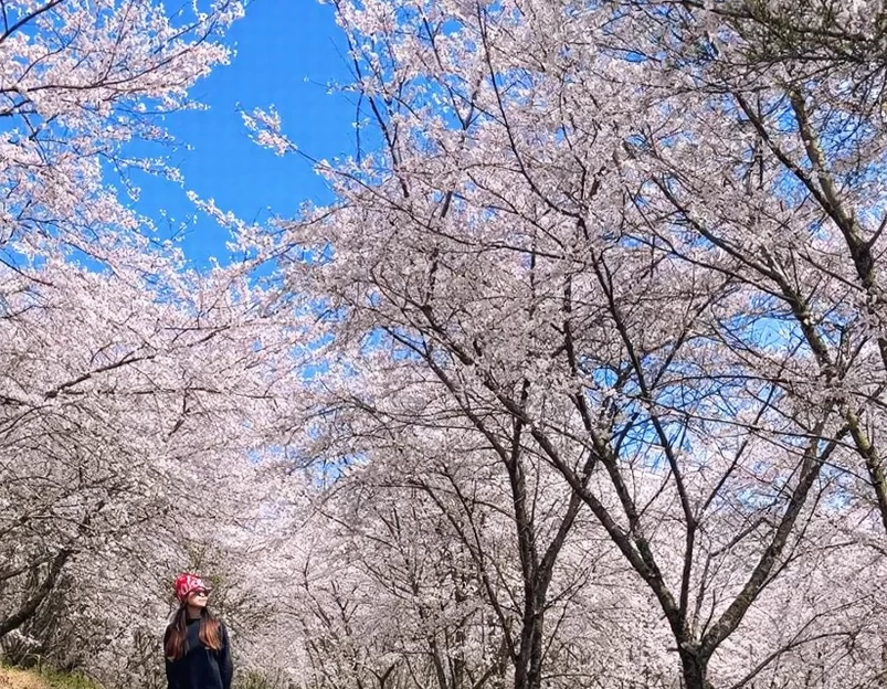 贵阳旅游 1