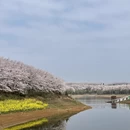 贵阳旅游 缩略图 4