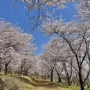 贵阳旅游 缩略图 3