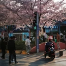 贵阳旅游 缩略图 2