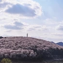 贵阳旅游 缩略图 1