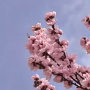 贵阳旅游 缩略图 6
