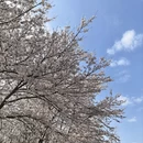 贵阳旅游 缩略图 7