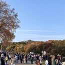 毕节旅游 缩略图 6