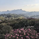毕节旅游 缩略图 3