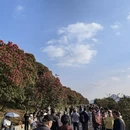 毕节旅游 缩略图 7