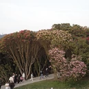 毕节旅游 缩略图 8