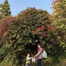毕节旅游 缩略图 9